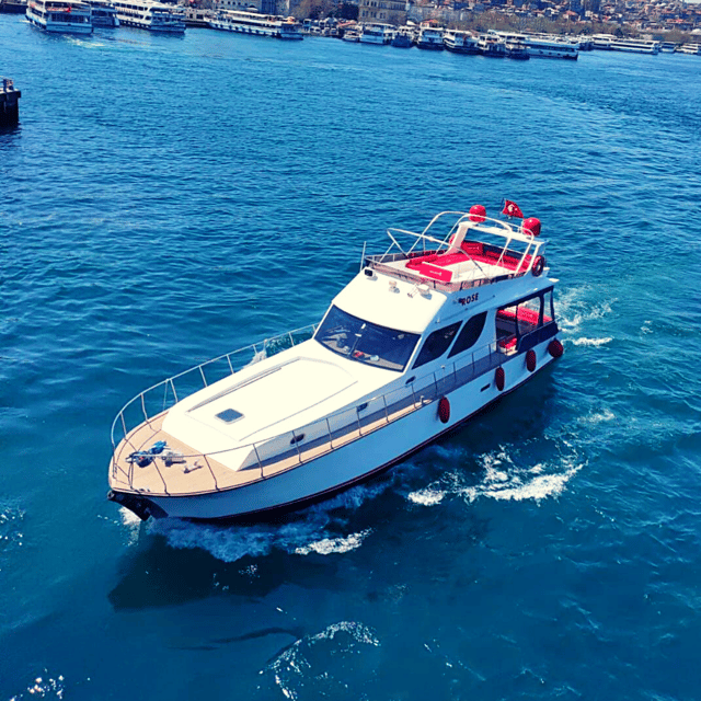 Istanbul: Bosphorus Private Yacht Cruise With Tea and Coffee - Iconic Sights Along the Bosphorus