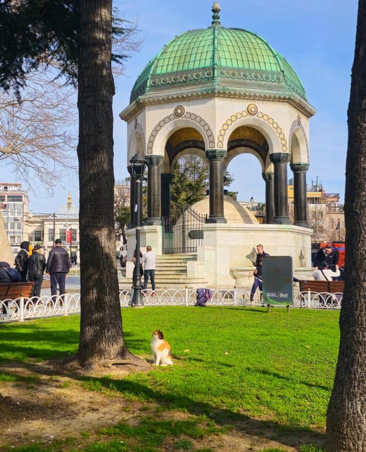 Istanbul Private City Tour By Art Historian - Important Information