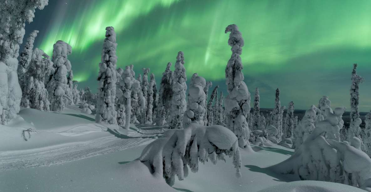 Ivalo: Northern Lights Holiday in Northern Lapland - Accommodation Options