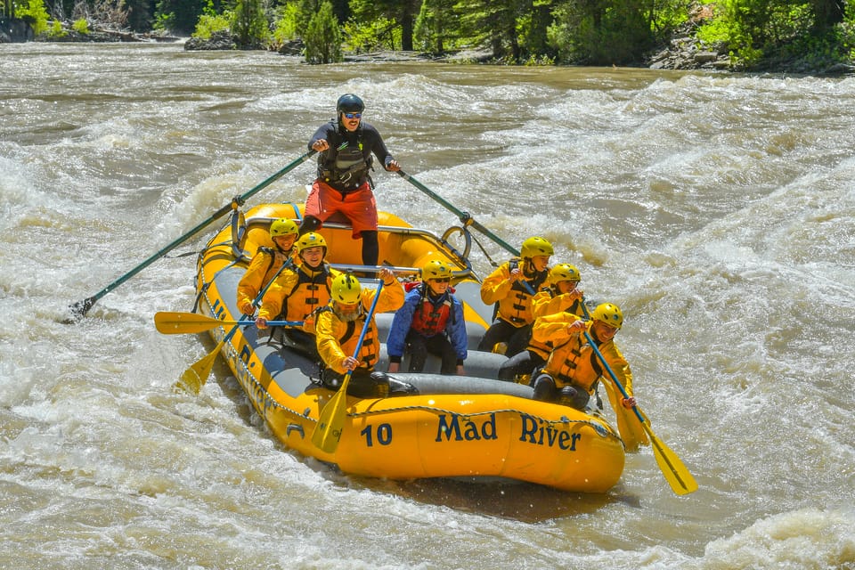 Jackson: 8-Mile Classic Boat Whitewater Rafting Trip - Requirements