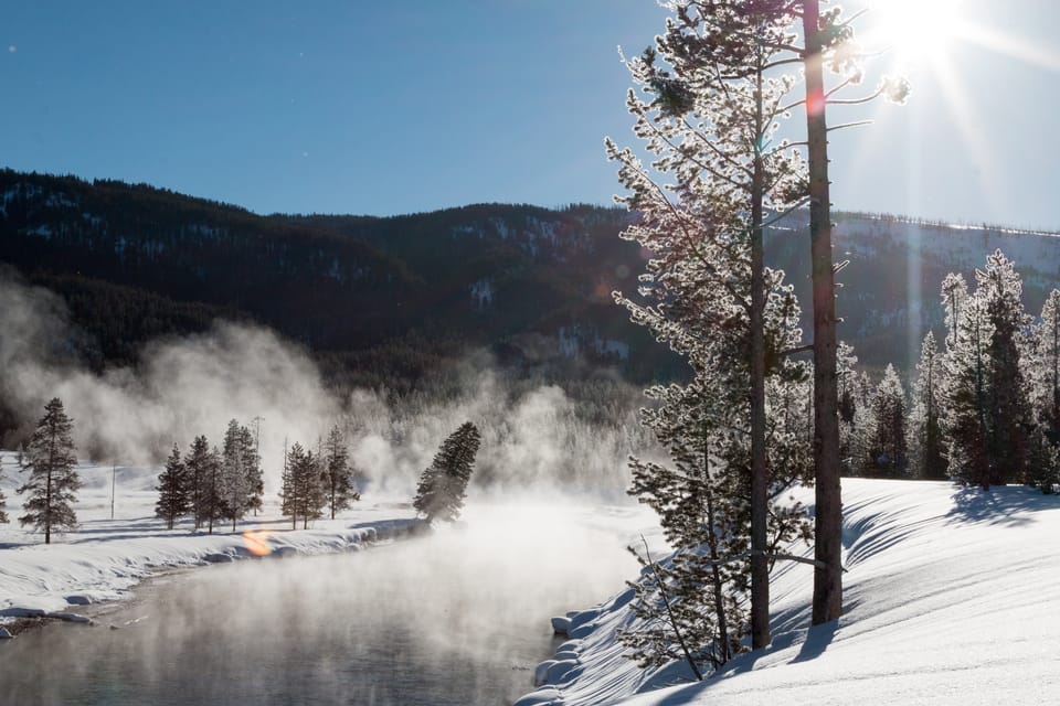 Jackson: Yellowstone Snowcoach Tour to Old Faithful - Inclusions and Pricing