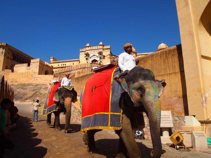 Jaipur Amber Fort With Gems and Jewelry Guided Tour - Transportation and Pickup