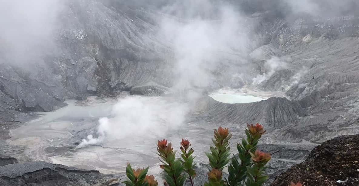 Jakarta: Volcano, Tea/Rice Fields, Hot Spring, Local Food - Exploring Tea and Rice Fields