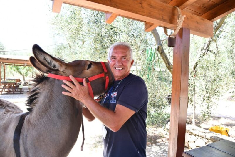 Jeep Safari in the Gargano National Park - Exclusive - Culinary Delights