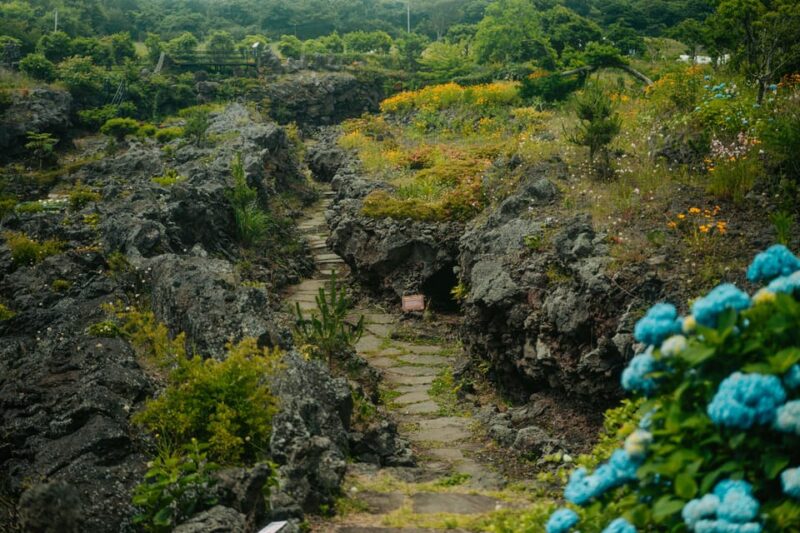 Jeju East: Healing UNESCO Small Group Day Tour - Inclusions and Exclusions
