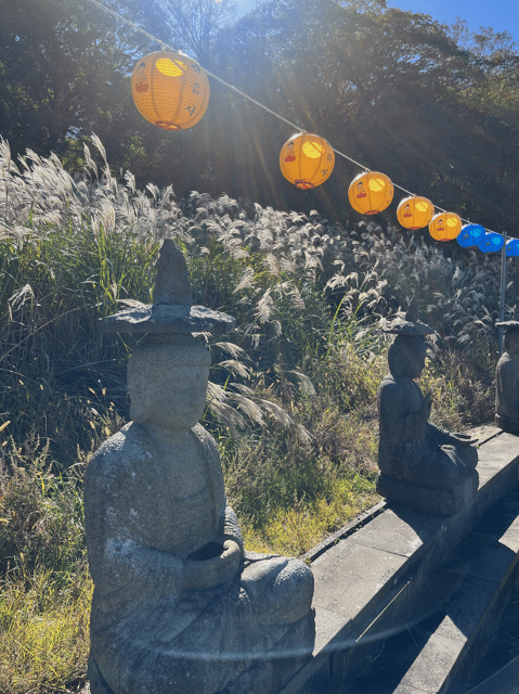 Jeju: Highlight Customized Private Tour With Expert Guide - Natural Wonders