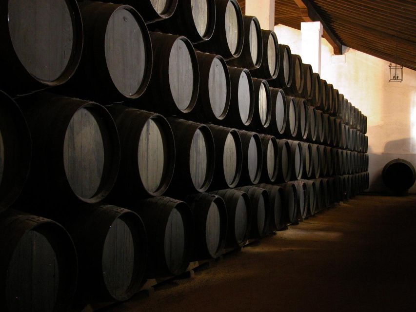 Jerez: Álvaro Domecq Wineries Guided Tour With Wine Tasting - Meeting Point and Logistics