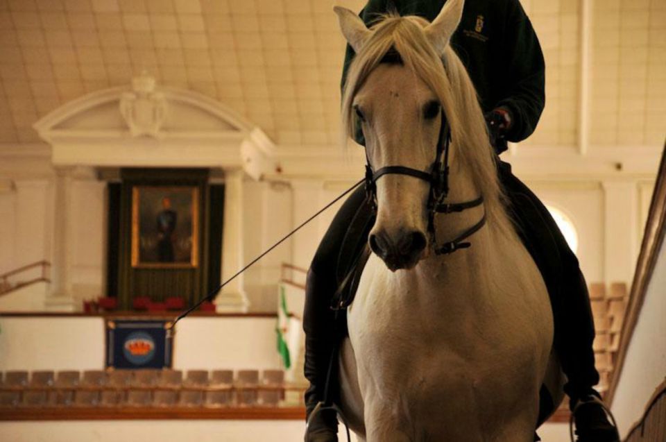 Jerez Private Tour From Seville: Wine and Equestrian Art - Exploration of Cadiz