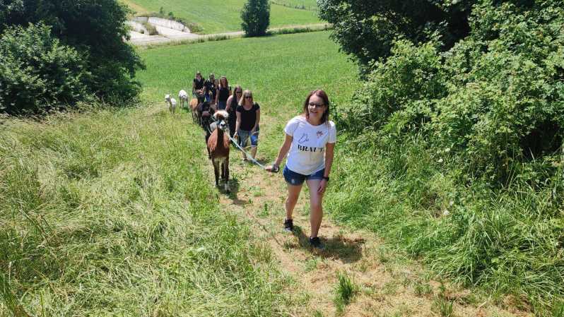 Jettingen-Scheppach: Alpaca Hike With Coffee and Cake - Accessibility and Location