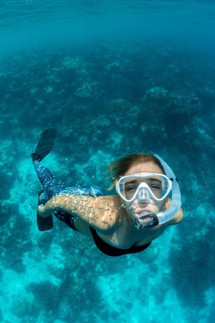 Join Us on a Snorkel Boat Tour - Spotting Marine Life