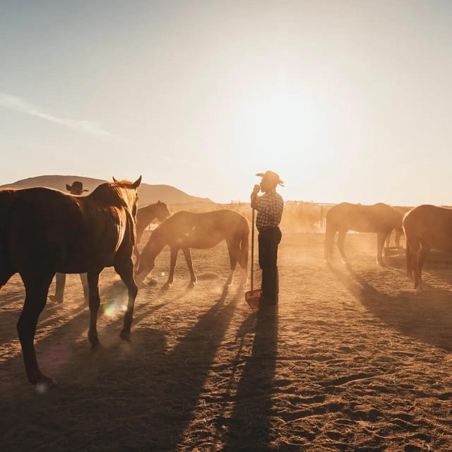 Joshua Tree: Horseback Trail Riding Adventure With a Guide - Participant Requirements