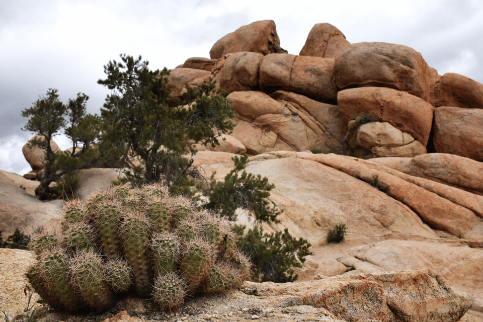 Joshua Trees Hidden Valley Self-Guided Walking Audio Tour - Offline Functionality