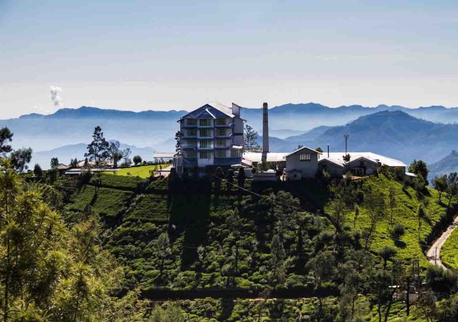 Kandy: Shanthipura and Nuwara Eliya - Hakgala Botanical Gardens