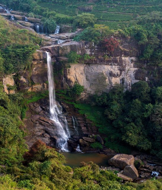 Kandy to Nanuoya Railway Station Drop Service - Pedro Tea Factory