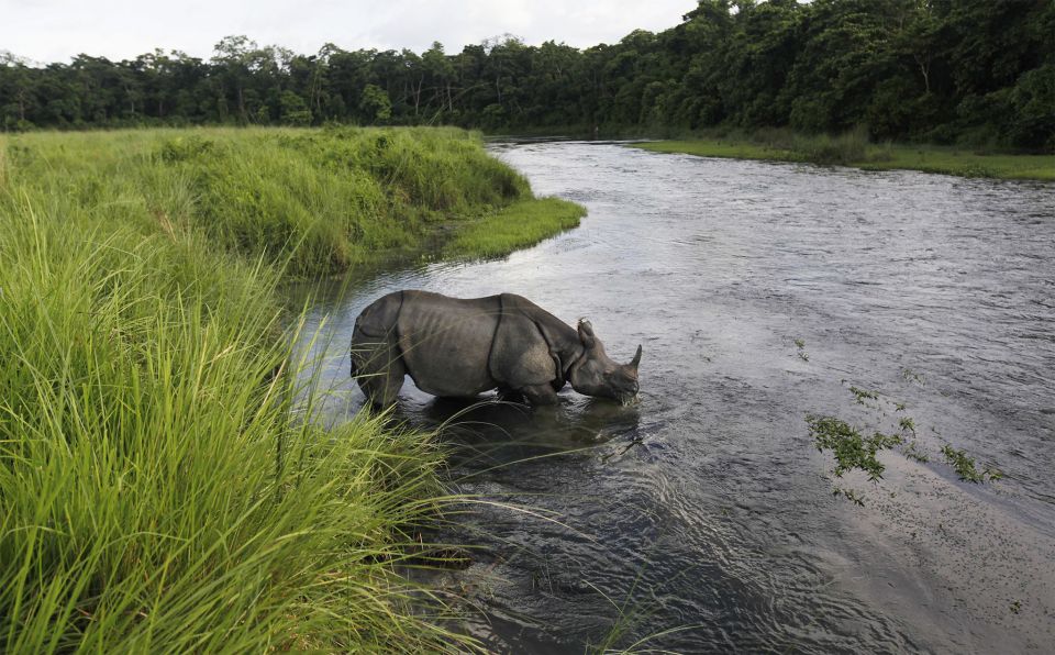 Kathmandu: 3-Day Chitwan Safari Tour With Hotel Transfers - Safety Considerations