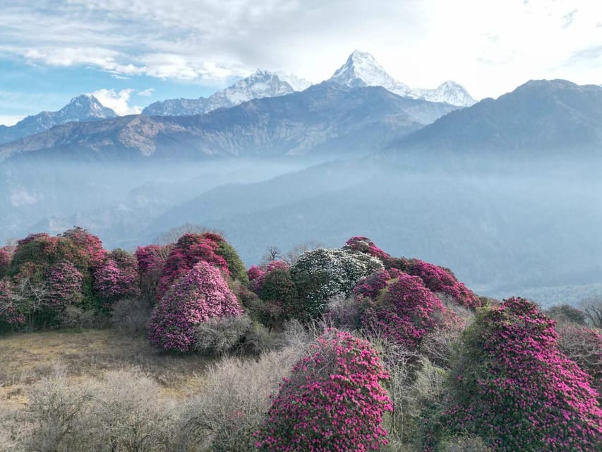 Kathmandu: 7-Day Annapurna Base Camp Via PoonHill Hot Spring - Exclusions and Additional Costs