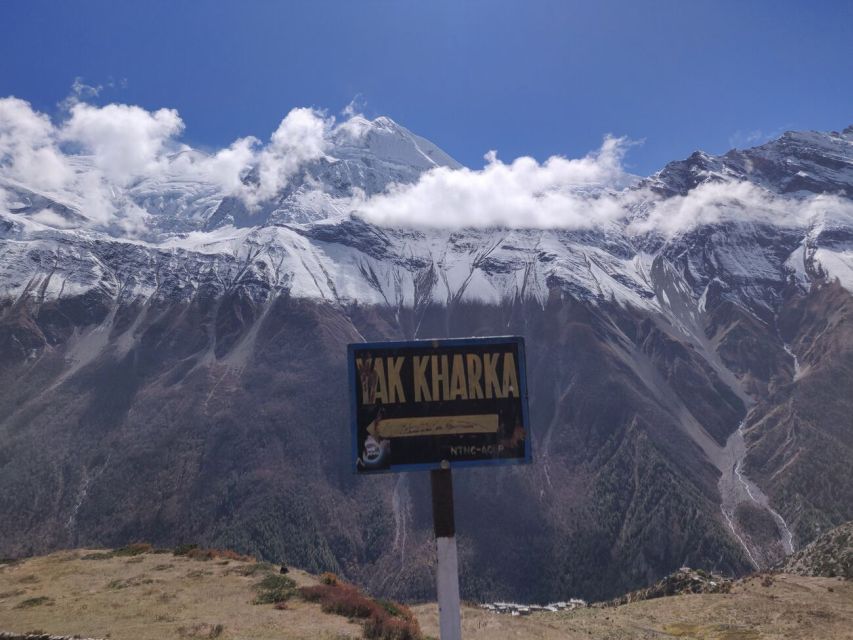 Kathmandu: 9- Day Annapurna Circuit Trek - Customer Experiences and Feedback