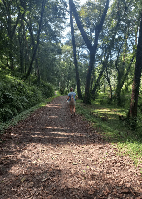 Kathmandu ; Botanical Garden & 3 UNESCO Heritage Sites Tour - Tour Highlights