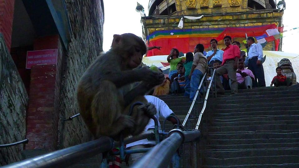 Kathmandu City Walking Tour - Kathmandu Durbar Square