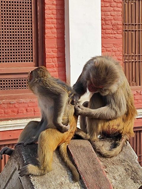 Kathmandu Day Tour: 6 Hours UNESCO Heritage Guided Tour - Frequently Asked Questions