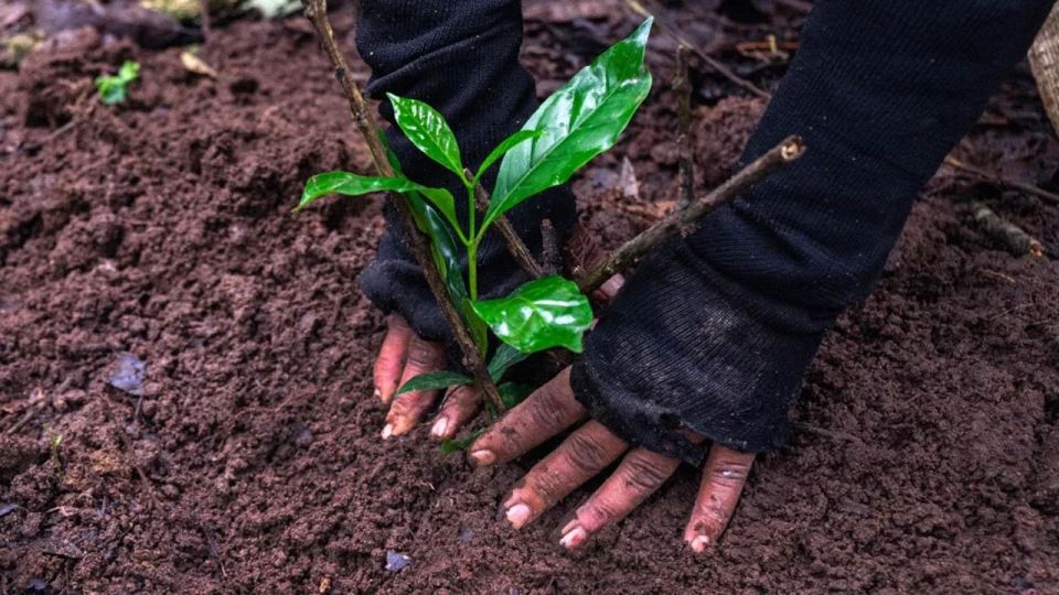 Kathmandu: Hike Jamachwok & Tree Planting for Carbon Neutral - Important Participant Guidelines