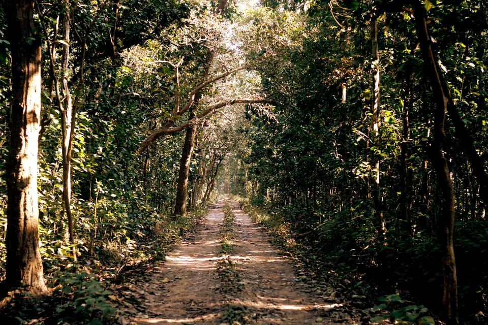 Kathmandu Pashupati: Eco- Hiking at Shivapuri National Park - Cultural Experiences During the Hike