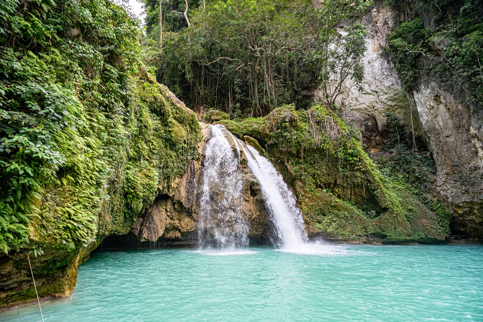 Kawasan Canyoning and Moalboal Sardine Run, Sea Turtles Tour - Inclusions