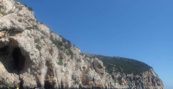 Kayak Tour of Capo Figari, Golfo Aranci (3 Hours) - What to Bring and Restrictions