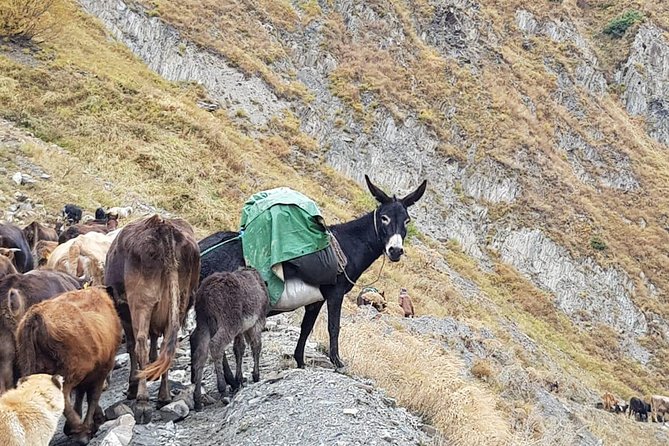 Kazbegi MOUNTAIN Tour (Military Way) + MANY NEW LOCATIONS - Tour Details and Inclusions