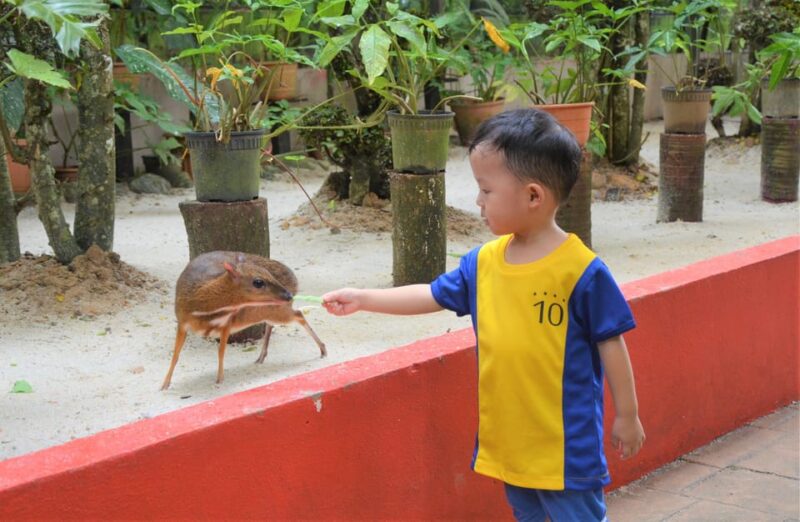 Kedah: Wildlife Park Langkawi Admission Ticket - Visitor Hours
