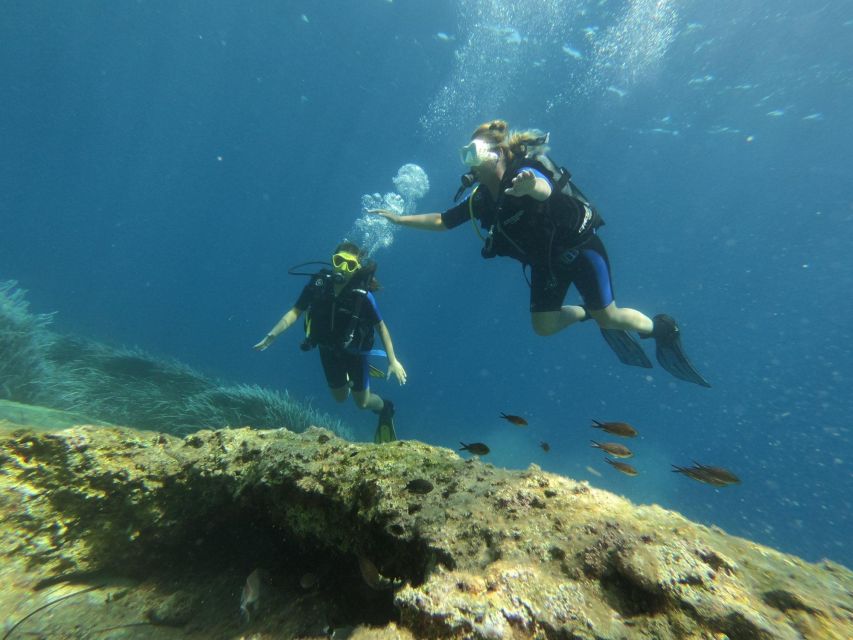 Kefalonia: Beginner Scuba Diving at Agia Efimia Village - Whats Included