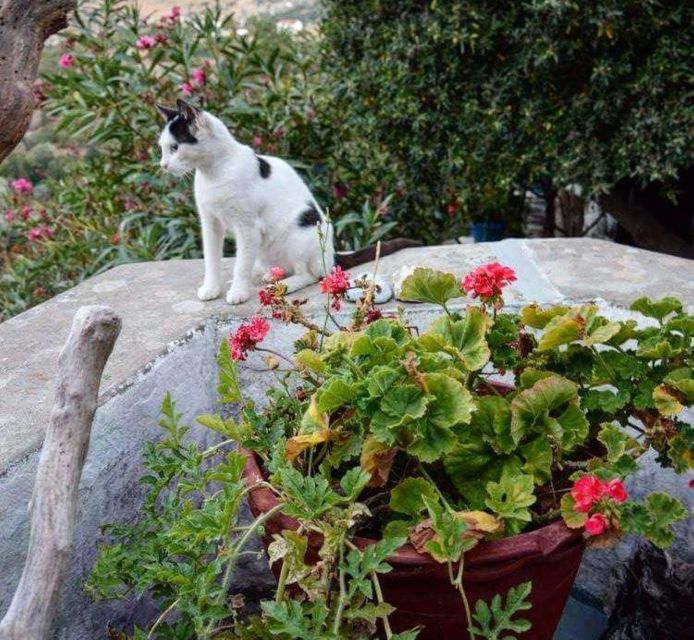 Kefalonia: Myrtos Beach Relaxation & Farm Flavors - Visiting the Organic Farm
