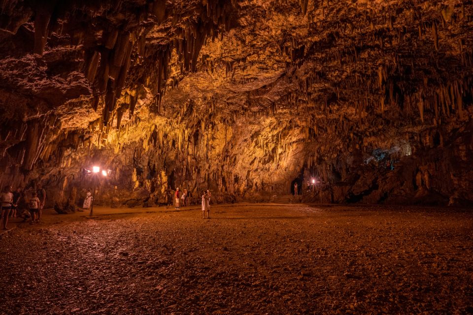 Kefalonia: the Caves & Myrtos Beach - Inclusions of the Tour