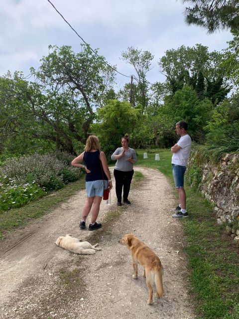 Kefalonia Wine Tour on E-Bikes - Included in the Tour