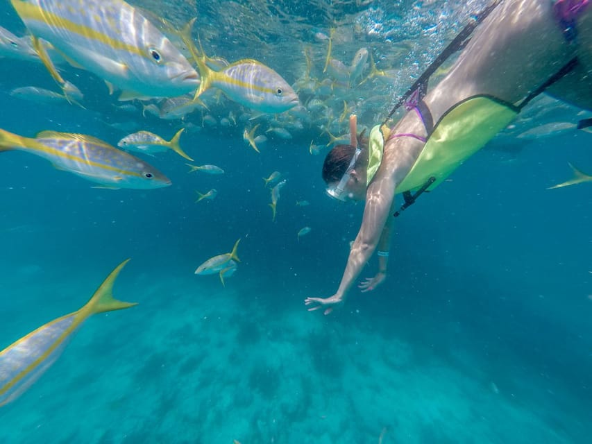 Key West: All Day Eco Tour - Kayak, Snorkel and Sail! - Wildlife and Ecosystem Education