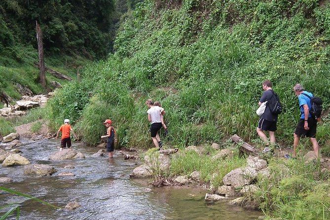 Khao Sok National Park Jungle Safari Full Day Tour From Phuket - Traveler Experiences