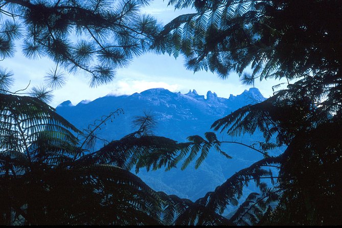 Kinabalu Park & Poring Hot Spring Tour - Travel Tips and Recommendations