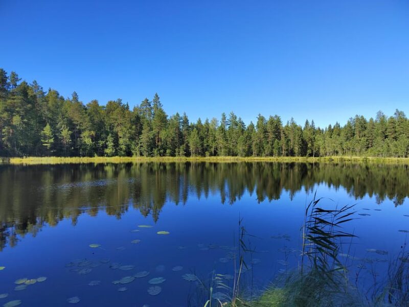 Kintulammi Nature Experience - Transportation Logistics
