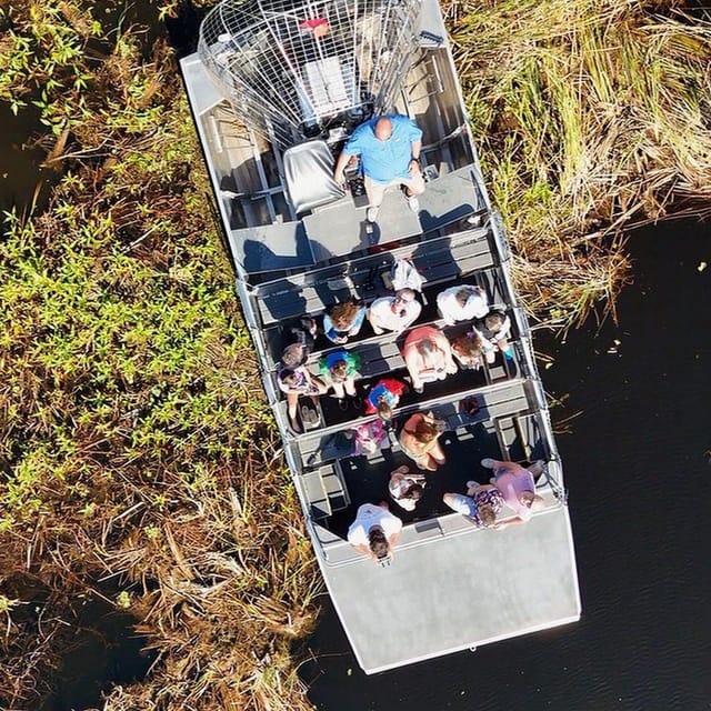 Kissimmee: Everglades Alligator and Wildlife Airboat Tour - Wildlife and Ecosystem