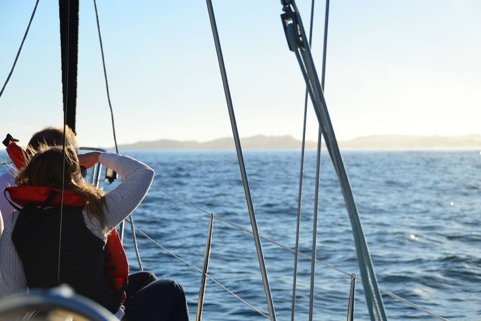 Knysna: 2.5-Hour Day Sail & Lunch Charter - Weather-Dependent Trips and Assessments