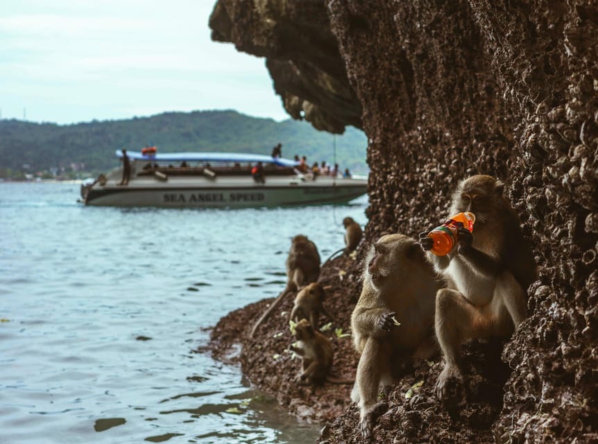 Ko Lanta: Private Mangrove Kayaking & Cave Exploration Tour - Koh Lanta Old Town