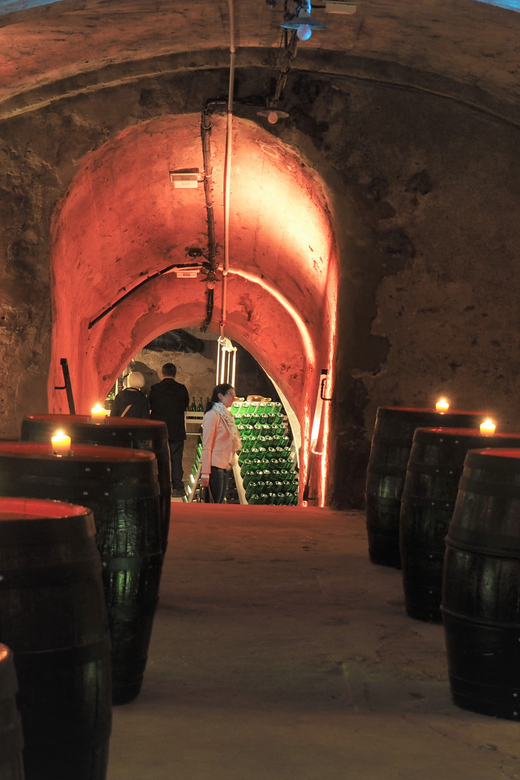 Koblenz: Historical Sparkling Wine Museum Guided Tour - Tour Inclusions