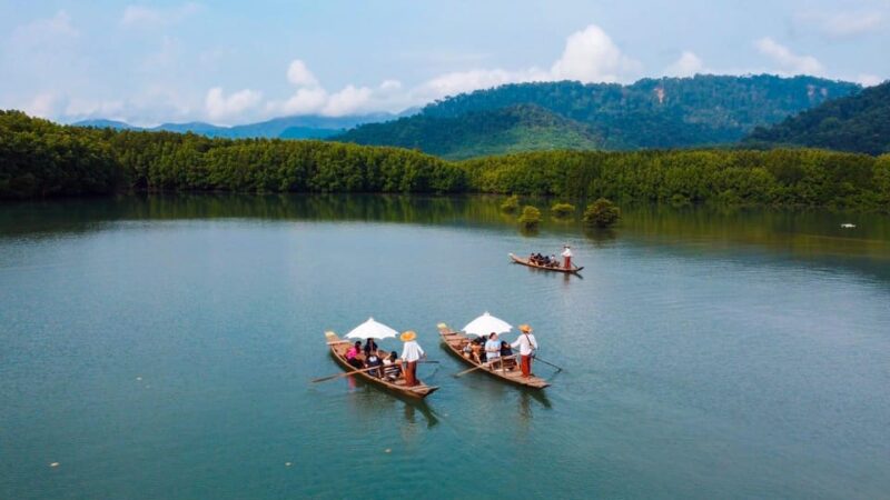 Koh Chang: Mangrove Forest Gondola Tour - Important Information and Preparation