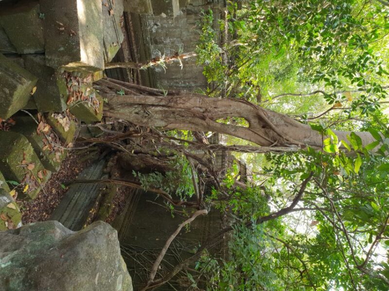 Koh Ker, Beng Mealea and Floating Village. - Exploring Beng Mealea