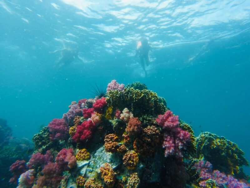Koh Lipe: 7 Island Snorkeling Trip by Longtail Boat W/ Lunch - Participant Restrictions