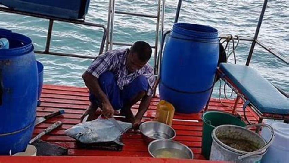 KOH SAMUI DAY FISHING - Scenic Wonders