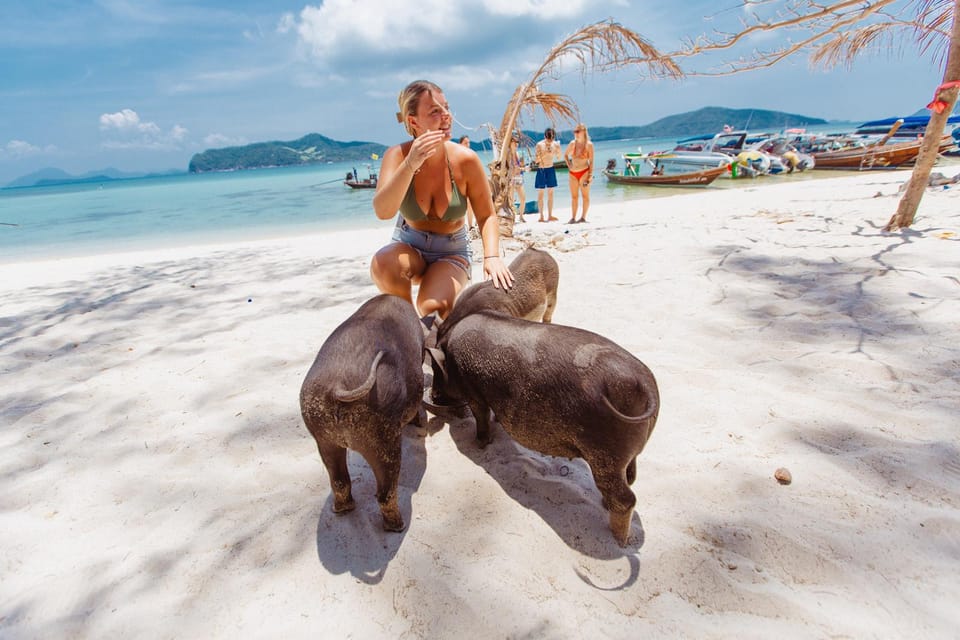 Koh Samui: Pig Island Private Longtail Boat Tour - Highlights and Activities