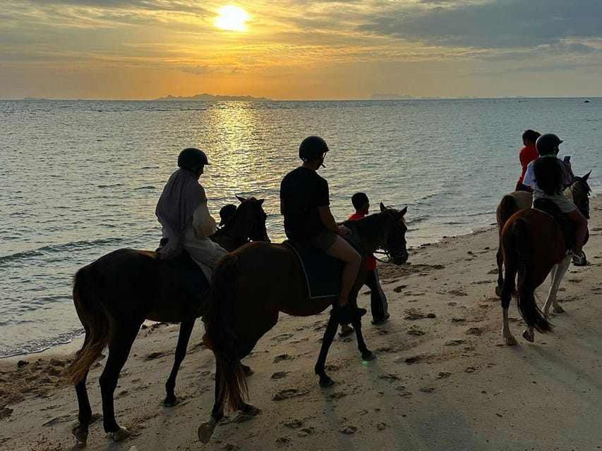 Koh Samui: Sunset Trail Horse Riding on The Beach - Participant Restrictions