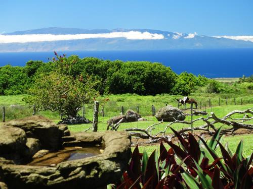 Kohala Lodge- Vacation Rental House - Policies and Accessibility