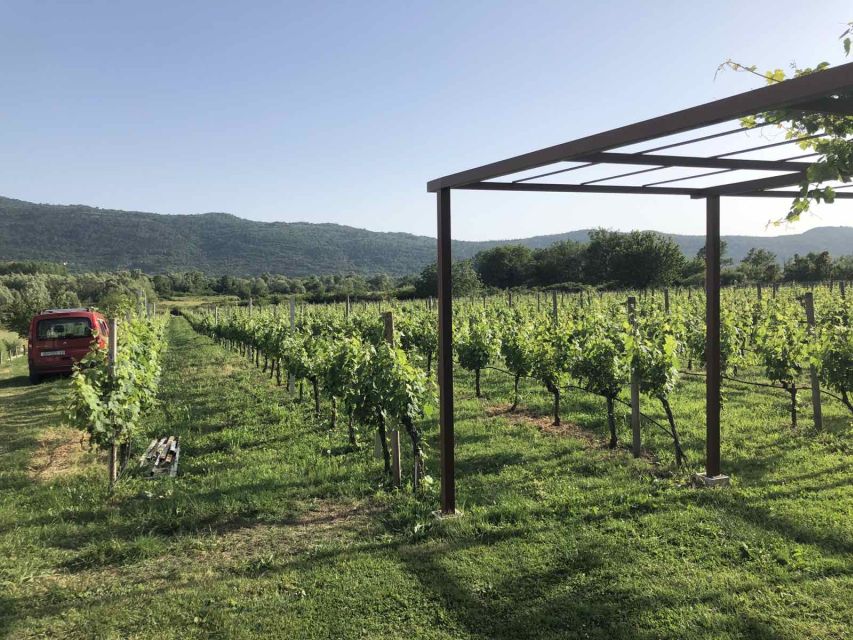 Konavle Valley: Private Half-Day Tour With Wine Tasting - Customer Reviews and Ratings